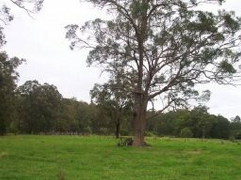 000 Old Inn Road Crawford River, Bulahdelah NSW 2423