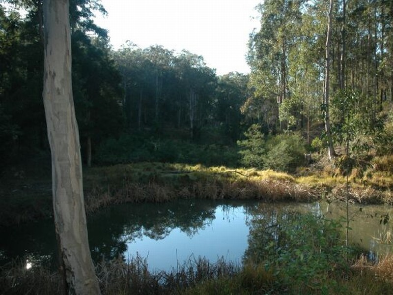 000 Bucketts Way, Wards River NSW 2422