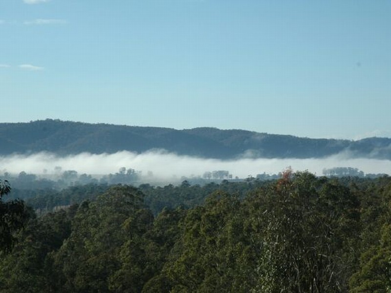 000 Bucketts Way, Wards River NSW 2422