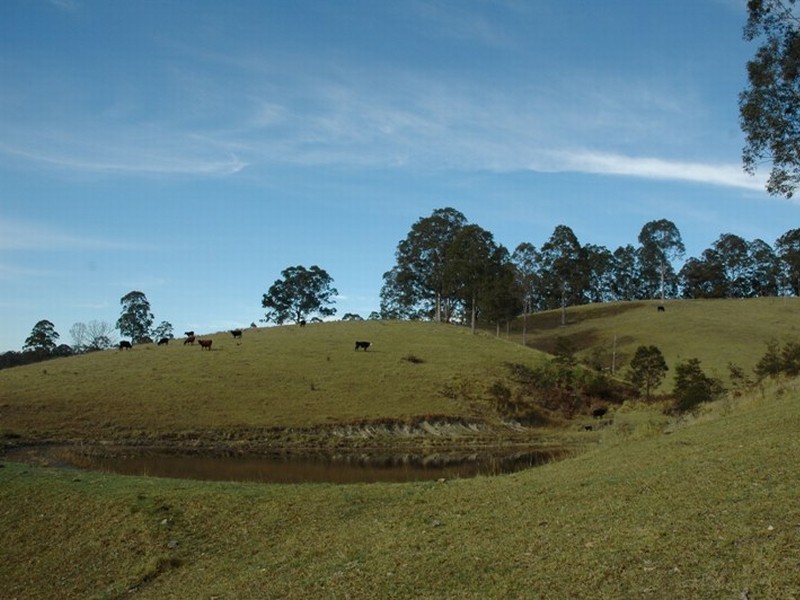 000 Bucketts Way, Wards River NSW 2422