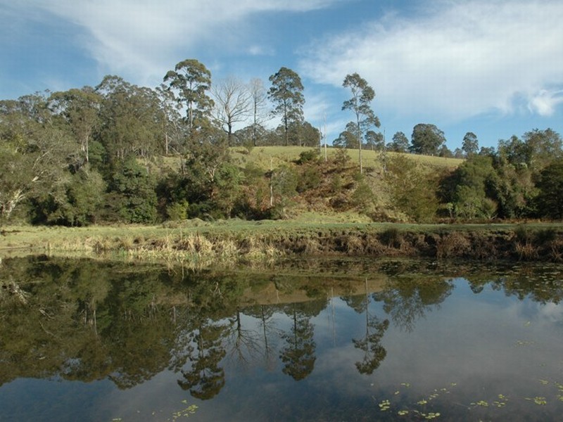 000 Bucketts Way, Wards River NSW 2422