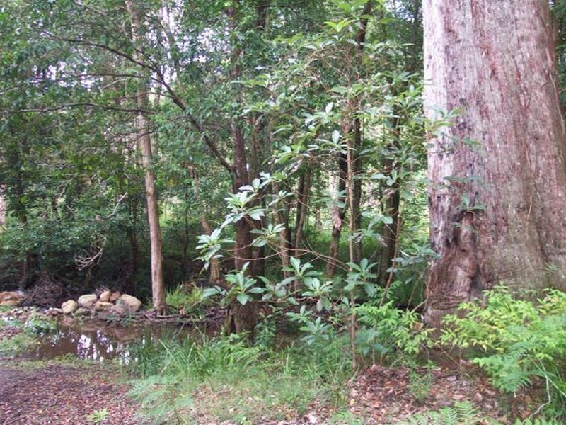 0000 Nugra Lane The Branch, Girvan NSW 2425