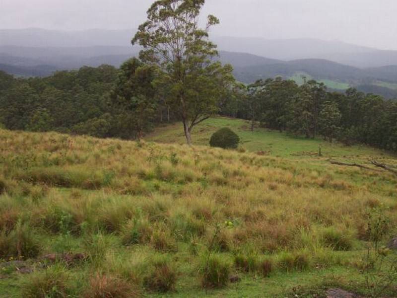 84 Farrells Road Nooroo, Stroud NSW 2425