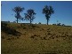 Lot 345 Daunts Road, Stroud NSW 2425