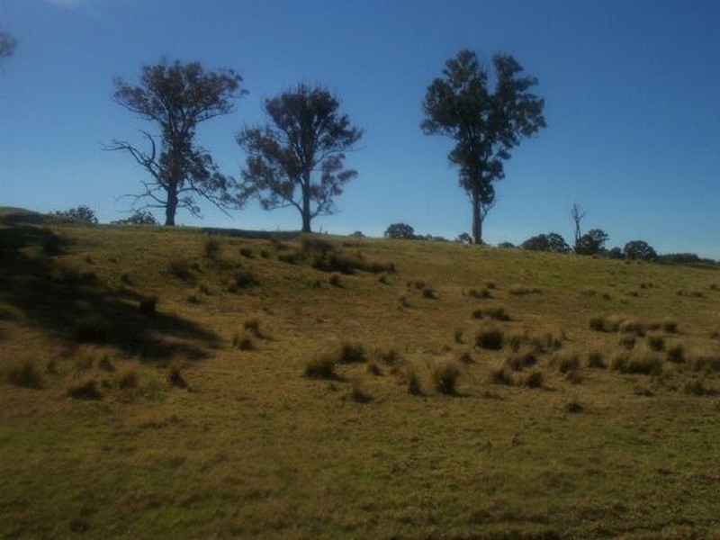 Lot 345 Daunts Road, Stroud NSW 2425