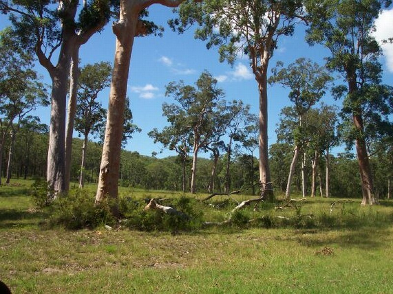 Lot 3 Lowes Lane, Booral NSW 2425