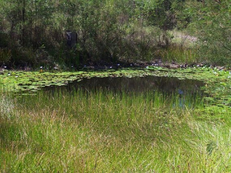 Lot 3 Lowes Lane, Booral NSW 2425