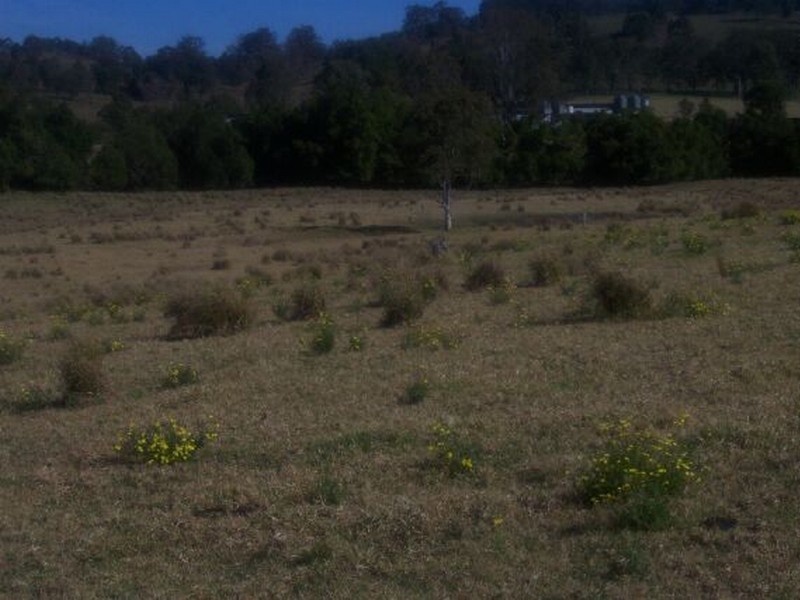 Lot 46 Daunts Road, Stroud NSW 2425