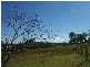 Lot 70 Mitchell Street, Stroud NSW 2425