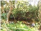 Lot 70 Mitchell Street, Stroud NSW 2425