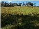 Lot 70 Mitchell Street, Stroud NSW 2425