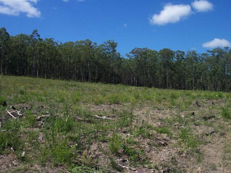 Lot l Lowes Lane, Booral NSW 2425