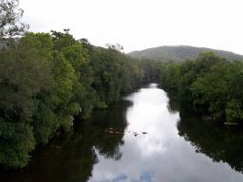 Lot 205 Bucketts Way, Booral NSW 2425