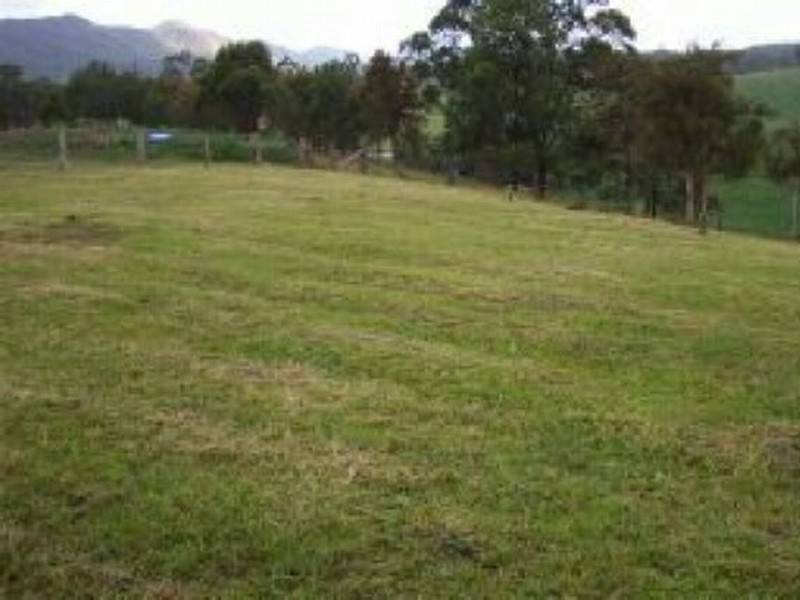 2 Ward Street, Wards River NSW 2422