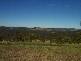 145 Lot 12 Brooks Road, Girvan NSW 2425