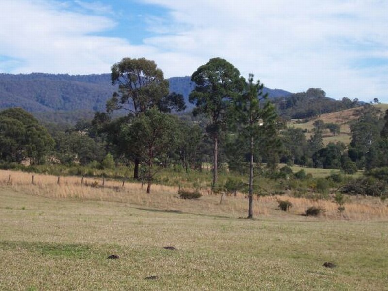 2455 Bucketts Way, Wards River NSW 2422