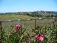 Boonah QLD 4310