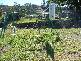 Crows Nest QLD 4355