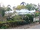 East Toowoomba QLD 4350