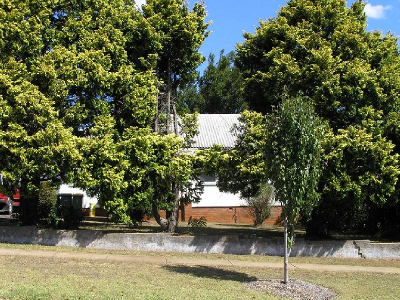 44 Cranley Street, South Toowoomba QLD 4350