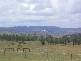 Highfield Ridge, Highfields QLD 4352