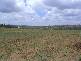 Highfield Ridge, Highfields QLD 4352