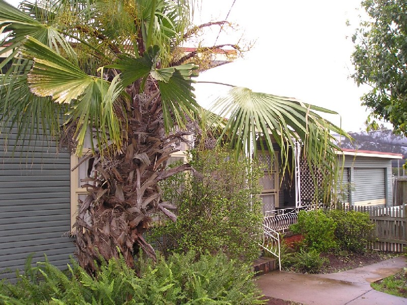 13A Holberton Street, Rockville QLD 4350