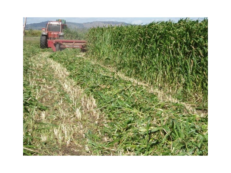 13 Qac Connection Road, College View QLD 4343