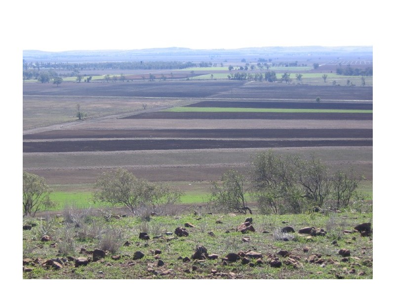 228 4AK Road, Oakey QLD 4401