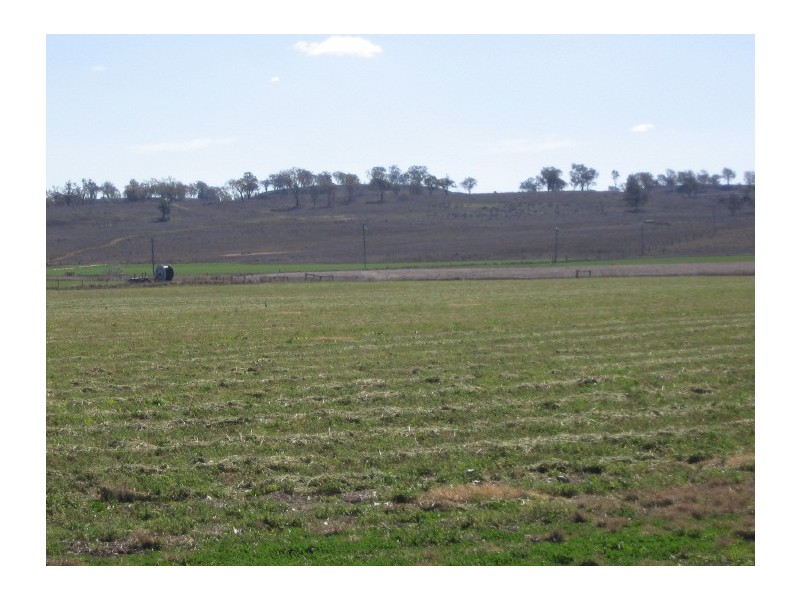 228 4AK Road, Oakey QLD 4401