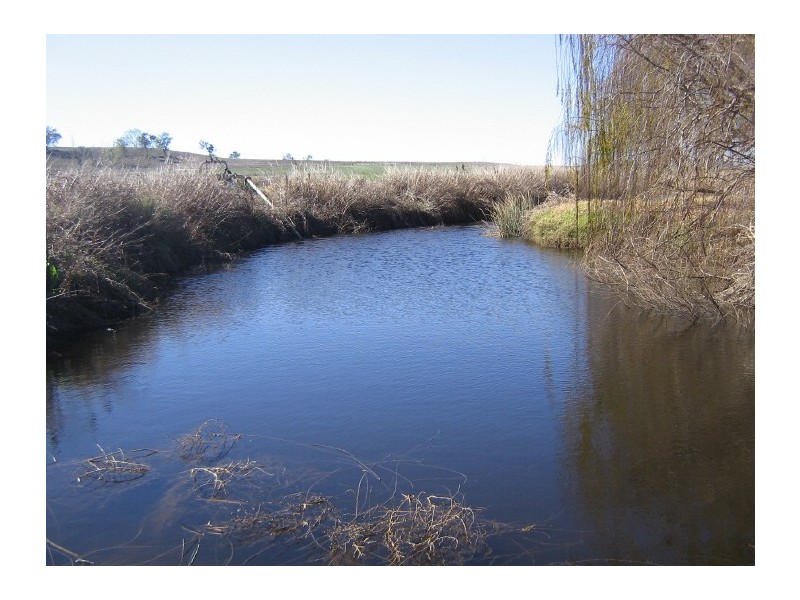 228 4AK Road, Oakey QLD 4401