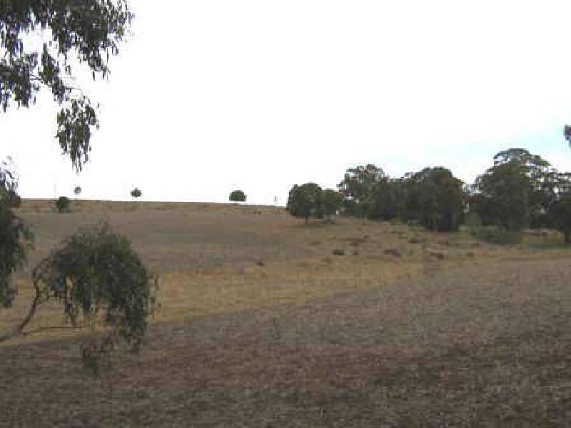 Gomoran-Bergin Road, Crows Nest QLD 4355