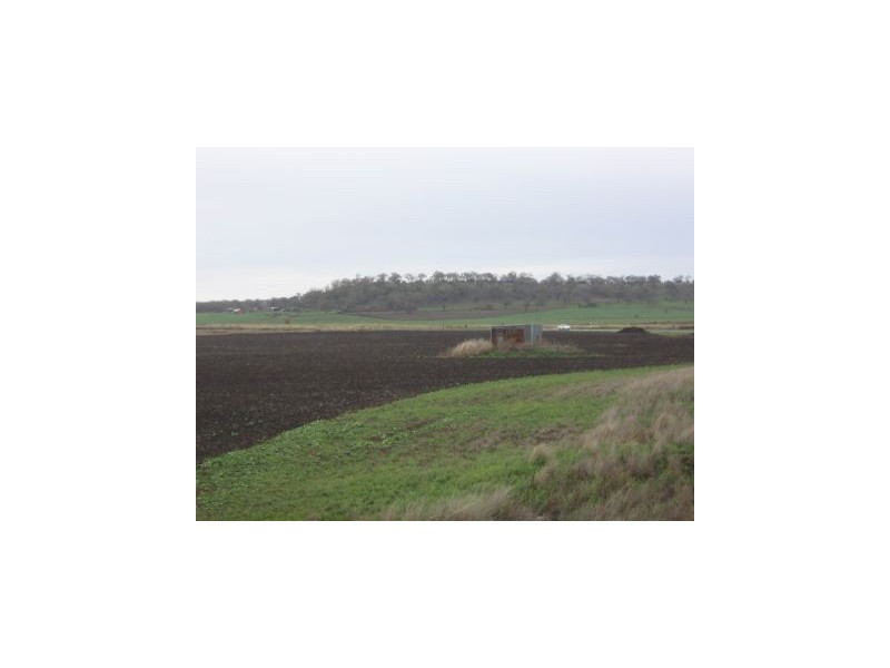 Mount Tyson QLD 4356