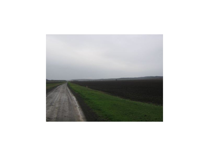 Mount Tyson QLD 4356