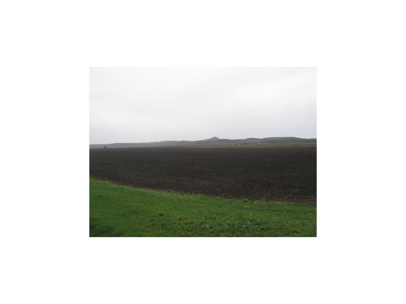 Mount Tyson QLD 4356