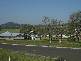 Pepperina Grove, Westbrook QLD 4350