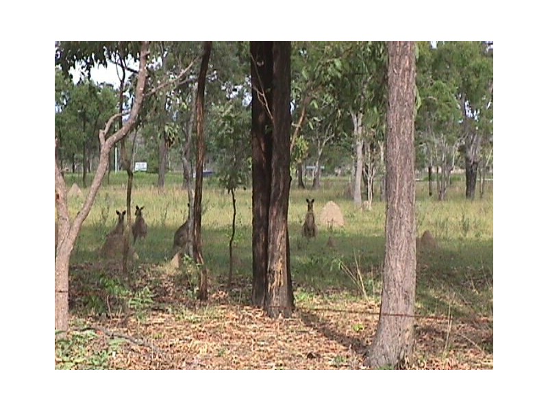 Lot 580 Goicoechea Drive, Bushland Beach QLD 4818