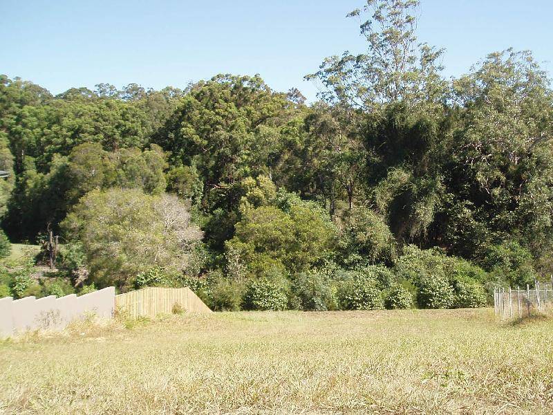 Lot 3 Wyangan Valley Way, Mudgeeraba QLD 4213