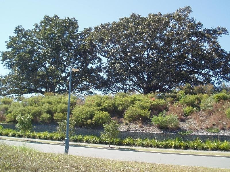 Lot 3 Wyangan Valley Way, Mudgeeraba QLD 4213