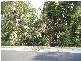 Lot 193 Elmes Court, Mudgeeraba QLD 4213