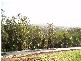 Lot 193 Elmes Court, Mudgeeraba QLD 4213