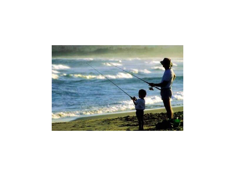 Ingham Street, Capalaba QLD 4157