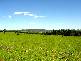 Lot 85 Sawyers Court, Gowrie Junction, Highfields QLD 4352