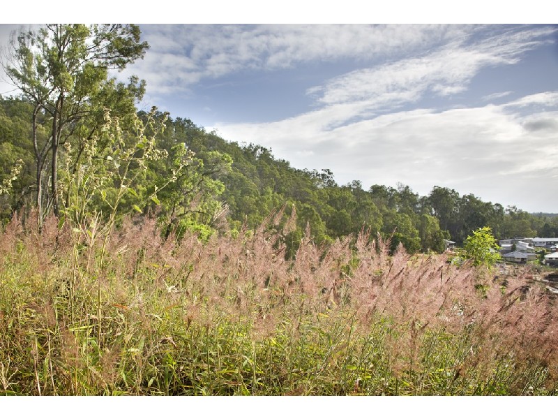 LOT 44 Ironbark Place, Mitchelton QLD 4053