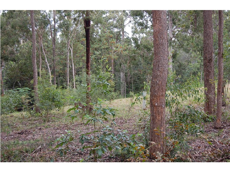 Lot 15 Northridge Street, Fig Tree Pocket QLD 4069