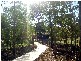Lot 24 Pinot Place, Pine Mountain QLD 4306