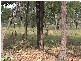 Lynwood Avenue,, Bushland Beach QLD 4818