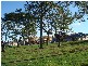 Lot 166 Keith St Kuraby, Kuraby QLD 4112