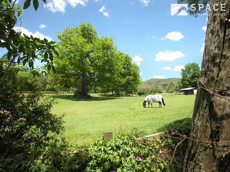 Payne Road, The Gap QLD 4061