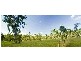 Lot 84 Blue Crane Court, New Beith QLD 4124